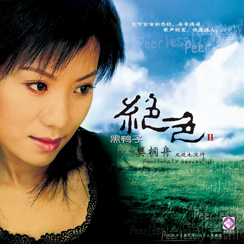 不让我的眼泪陪我过夜